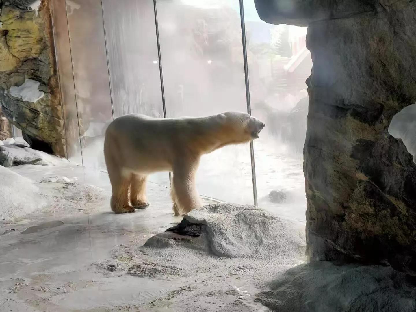 珠海长隆海洋王国一天路线图,珠海长隆海洋王国一日游详细攻略