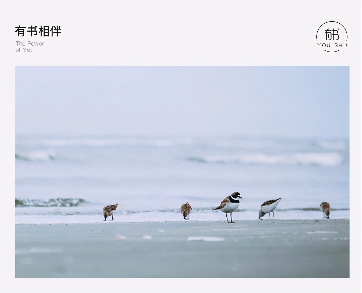 很自私的领导怎么相处,如何和自私的男人谈恋爱