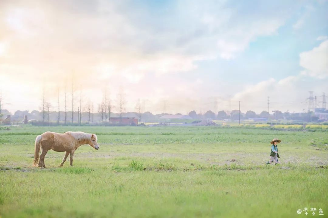 拿起尼康相机，带着孩子去记录美好的童年