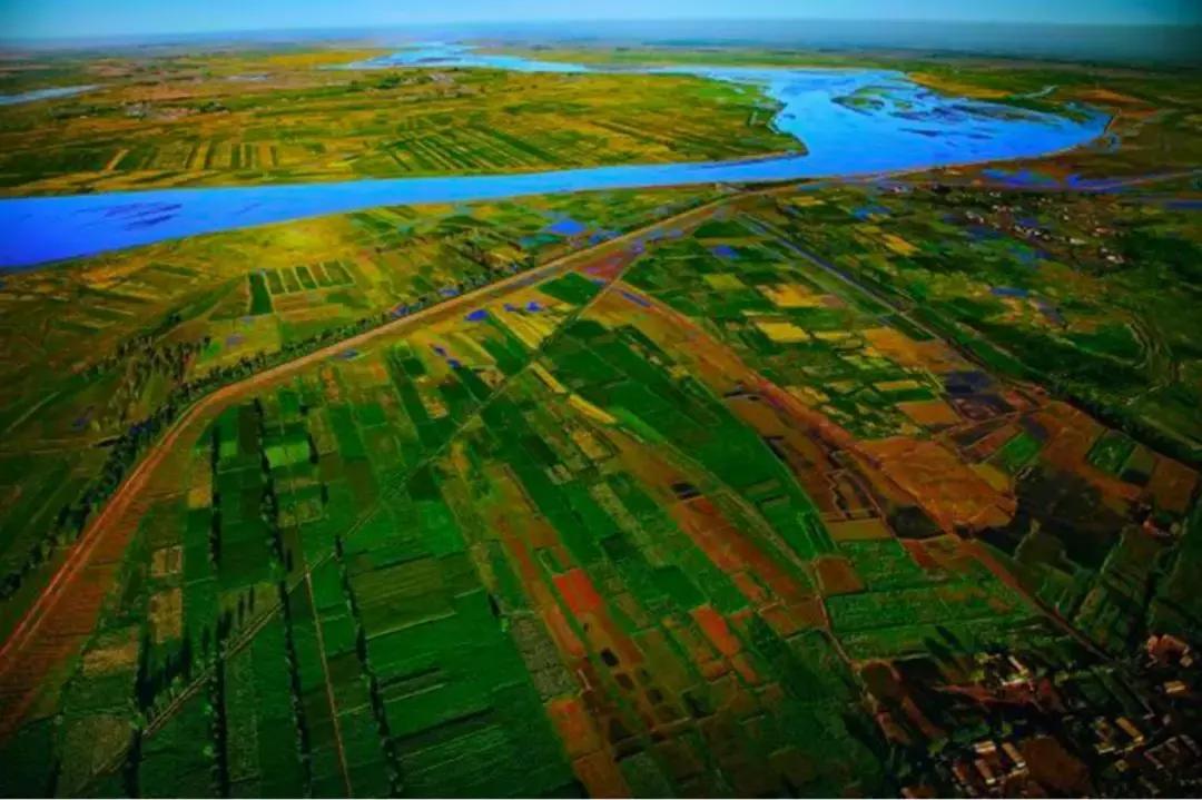 中国10大美酒,中国美酒大全