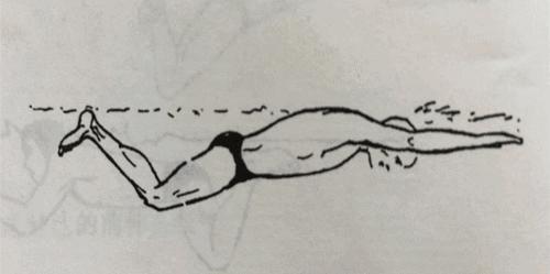 中游体育蛙泳视频大全,中游体育蛙泳技术