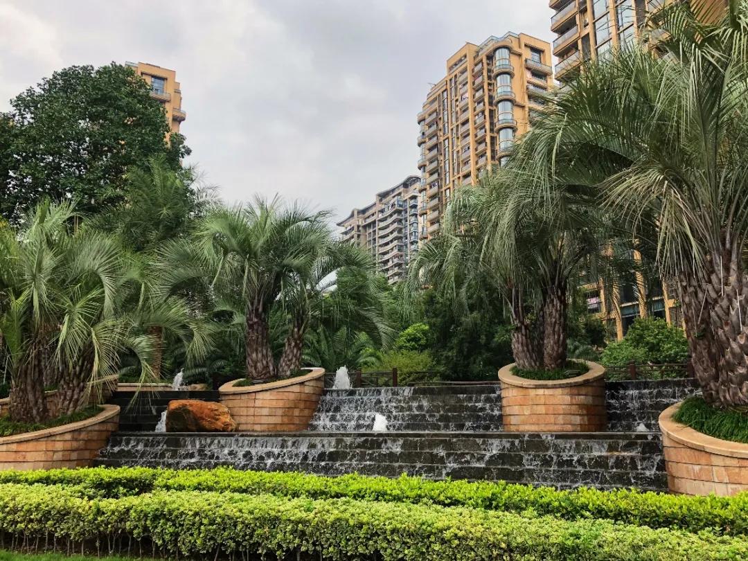 上千人带小板凳通宵排队买的万家花城，热带风情园林太经典