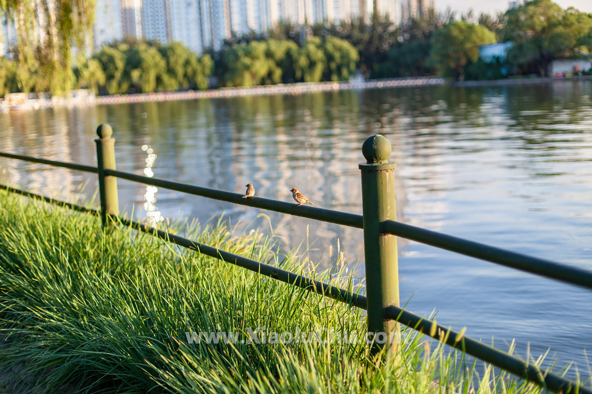 佳能ef501.8镜头三代全新,佳能ef501.4镜头测评