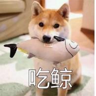 深静脉血栓应该看什么科,深静脉血栓哪个医院治疗最好