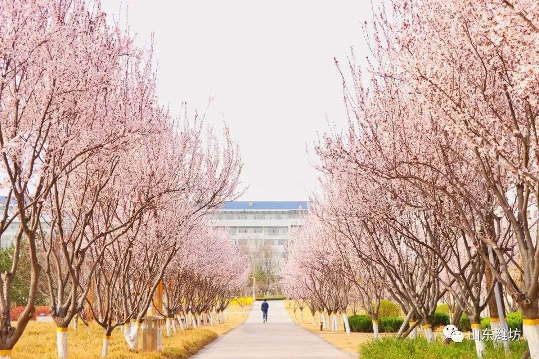 公办二本大学四百左右,分数线较低的二本大学推荐