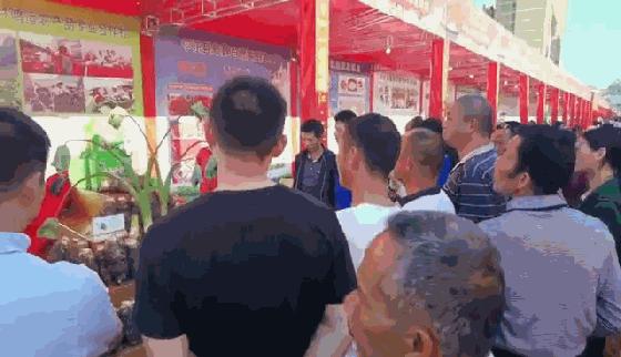 桂林平乐美食攻略,广西桂林平乐县特色美食