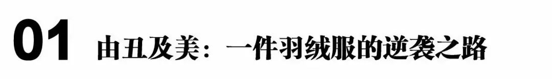 从一百到一千的羽绒服怎么选,男大牌羽绒服怎么选