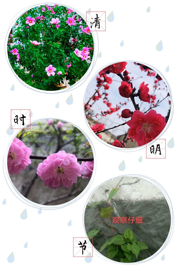 少年辛苦终身事，莫向光阴惰寸功。—峰山小学“宅而不慌”收获丰