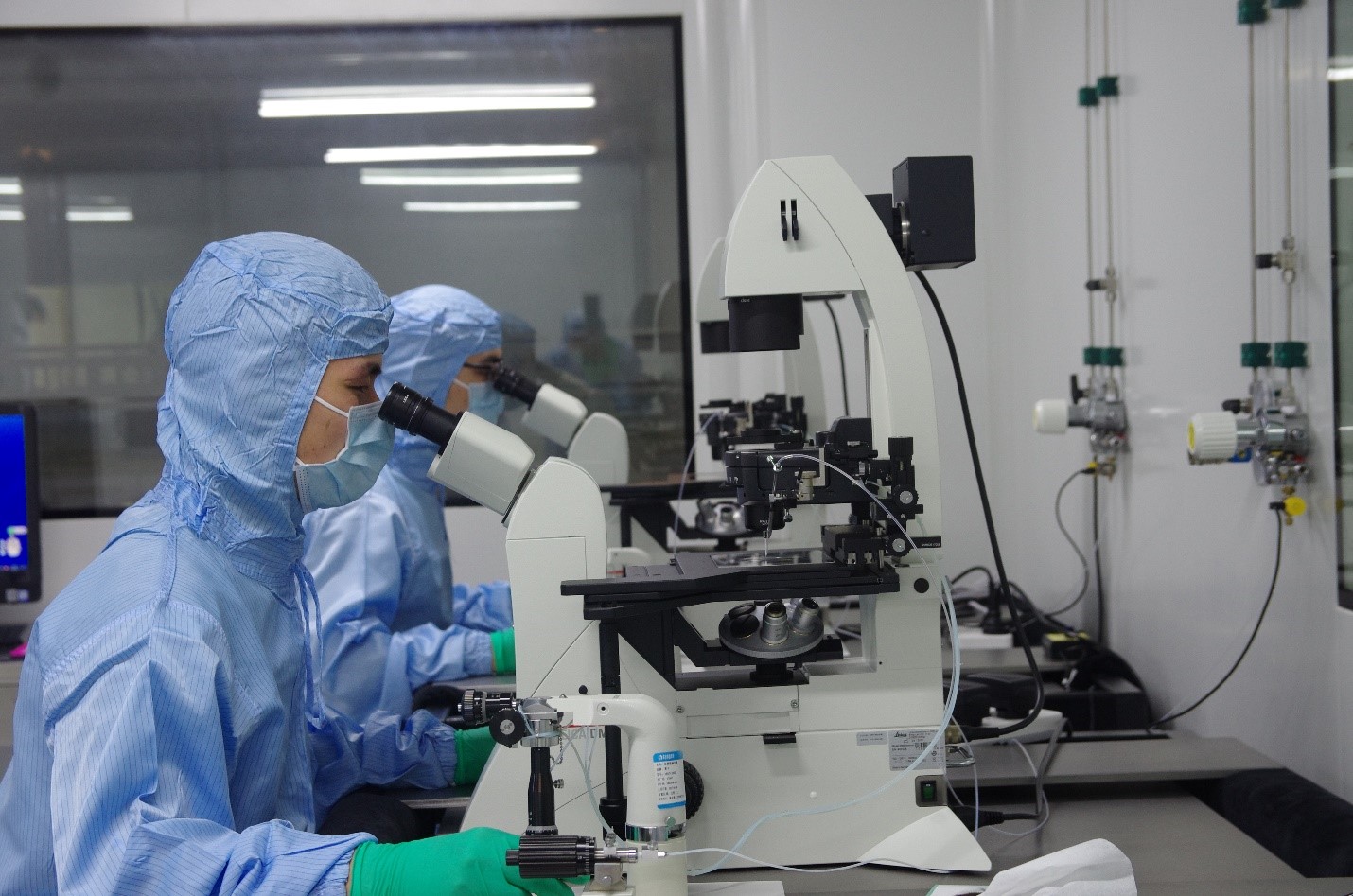 肠企这两年｜赛业生物：融资近5亿，如何玩转无菌动物？