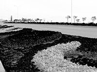 一篇文章读懂拓扑排序,一篇文章读懂摄影