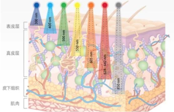 最近很火的美容仪真的有用吗,特别火爆的一款美容仪