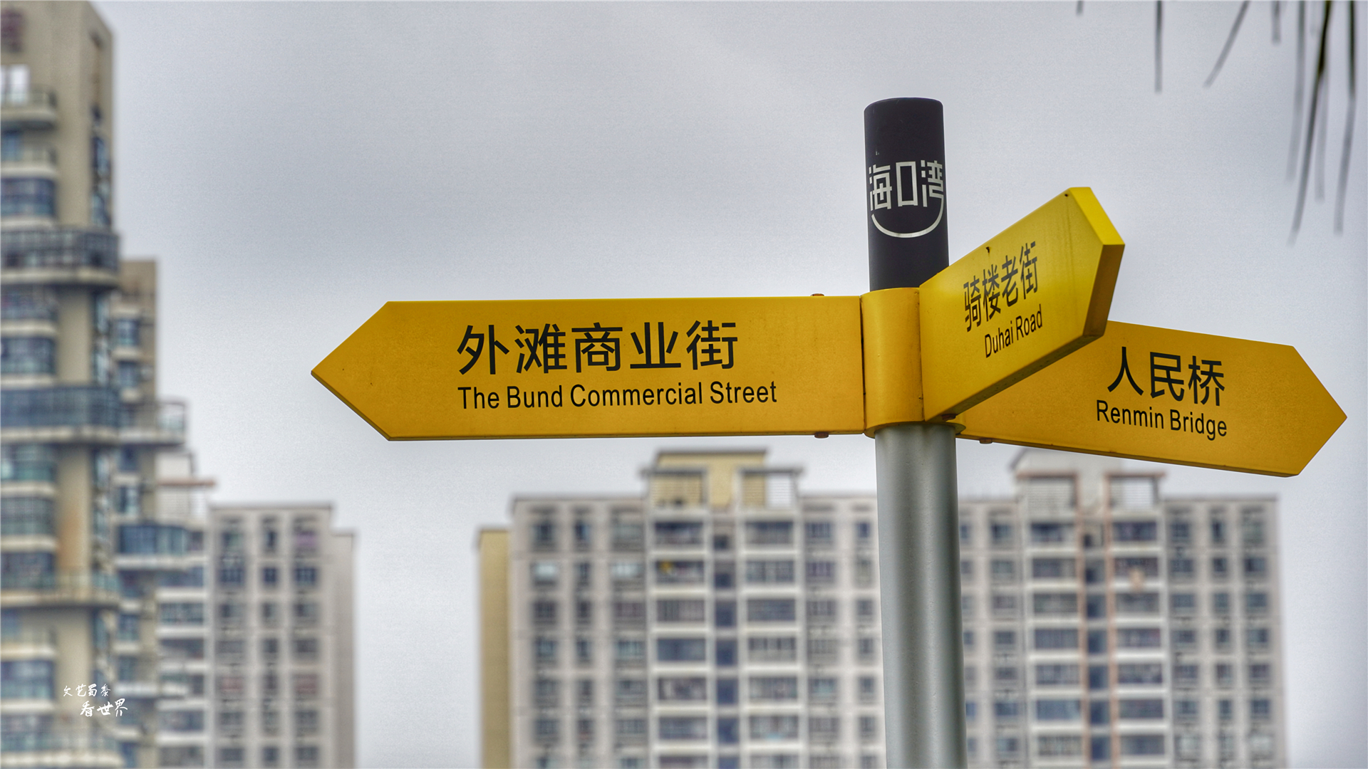 海口被东北人严重低估了,冬天也就冷一个月,跟三亚比差啥呀?