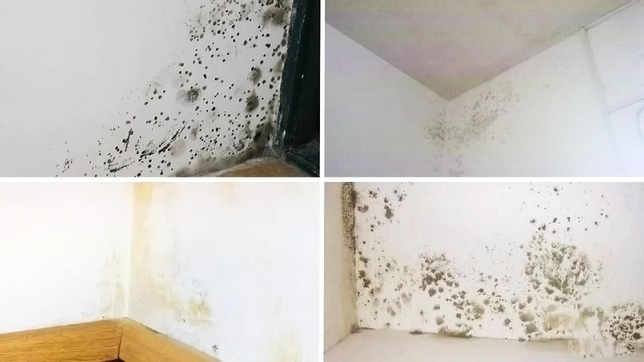 回南天家里墙壁发霉了怎么处理,回南天腻子墙面发霉