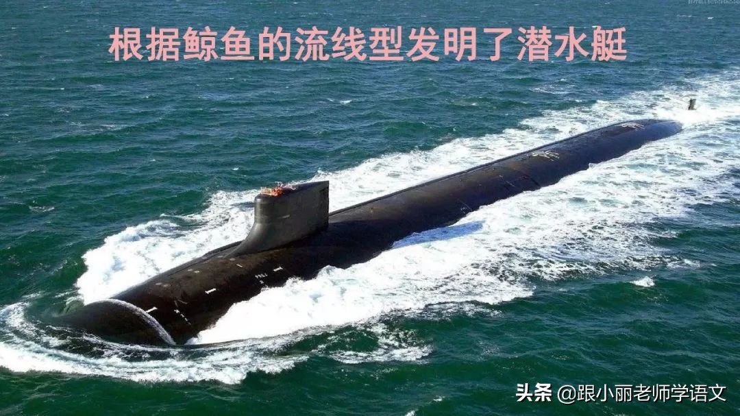 语文思维导图四年级上蝙蝠和雷达,人教版四年级上册蝙蝠和雷达朗读