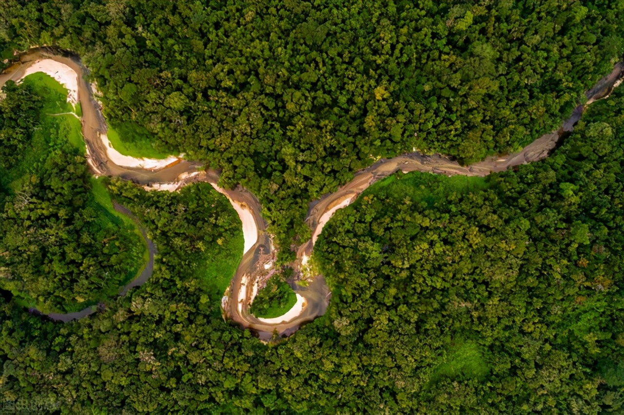 你们知道世界上最大的蛇在哪吗,目前世界上最大的蛇是什么蛇