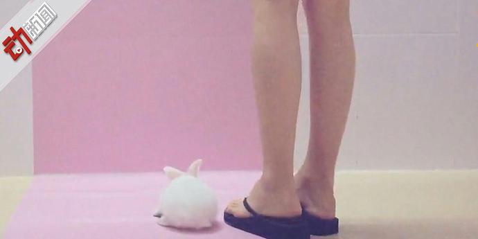 濂充汉铏愬緟鍔ㄧ墿鐪熷疄浜嬩欢,濂冲瓙铏愬緟鍔ㄧ墿鐪熷疄浜嬩欢