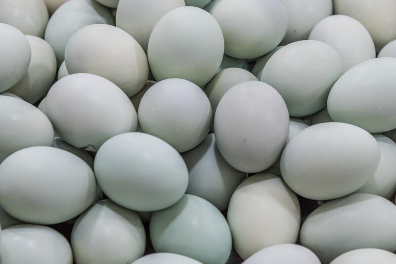 用热盐水腌咸鸭蛋冒油不咸的方法,腌咸鸭蛋放了白醋怎么办