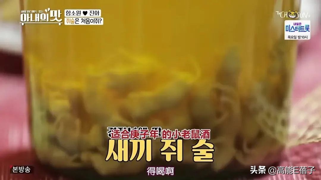 超级奇葩的一家,这一家人到底有多奇葩