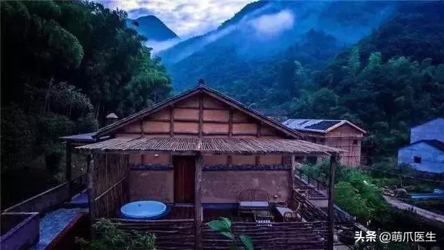 带宠物住宿酒店,带宠旅行酒店