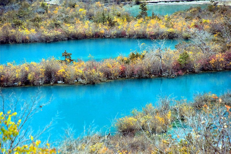 置身于童话中的九寨沟,畅游人间仙境黄龙九寨沟七日游
