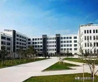 我的大学时光英语,在青岛科技大学读书什么感觉