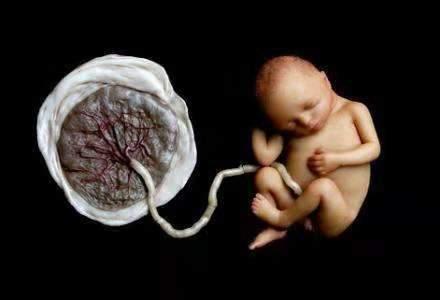 产后胎盘如何处置比较好,产后胎盘怎么办