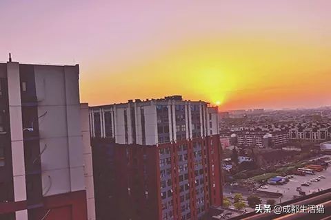 成都高新区办理暂住证在哪里,老年人成都暂住证怎么办理