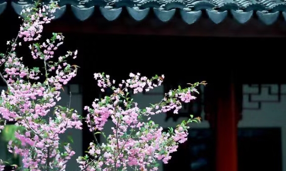 最稀奇的古怪的问题,13条稀奇古怪的问题