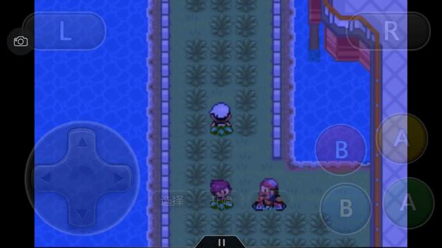 究极绿宝石一周目神兽攻略 (究极绿宝石5一周目能不能mega进化)