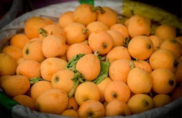 四川宜宾市长宁县竹海新闻,天府竹海景点