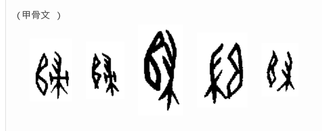 道德经中的阴阳辩证思想,道德经全书第二十九章解析