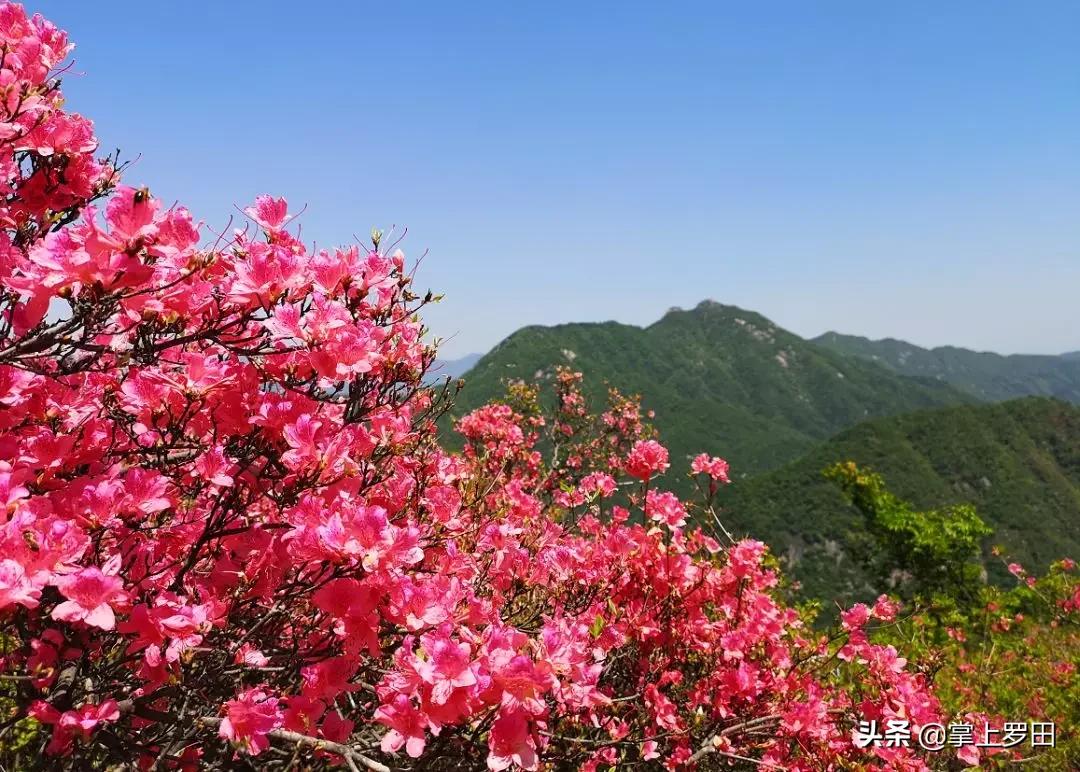 英山历史简介,湖北英山简介