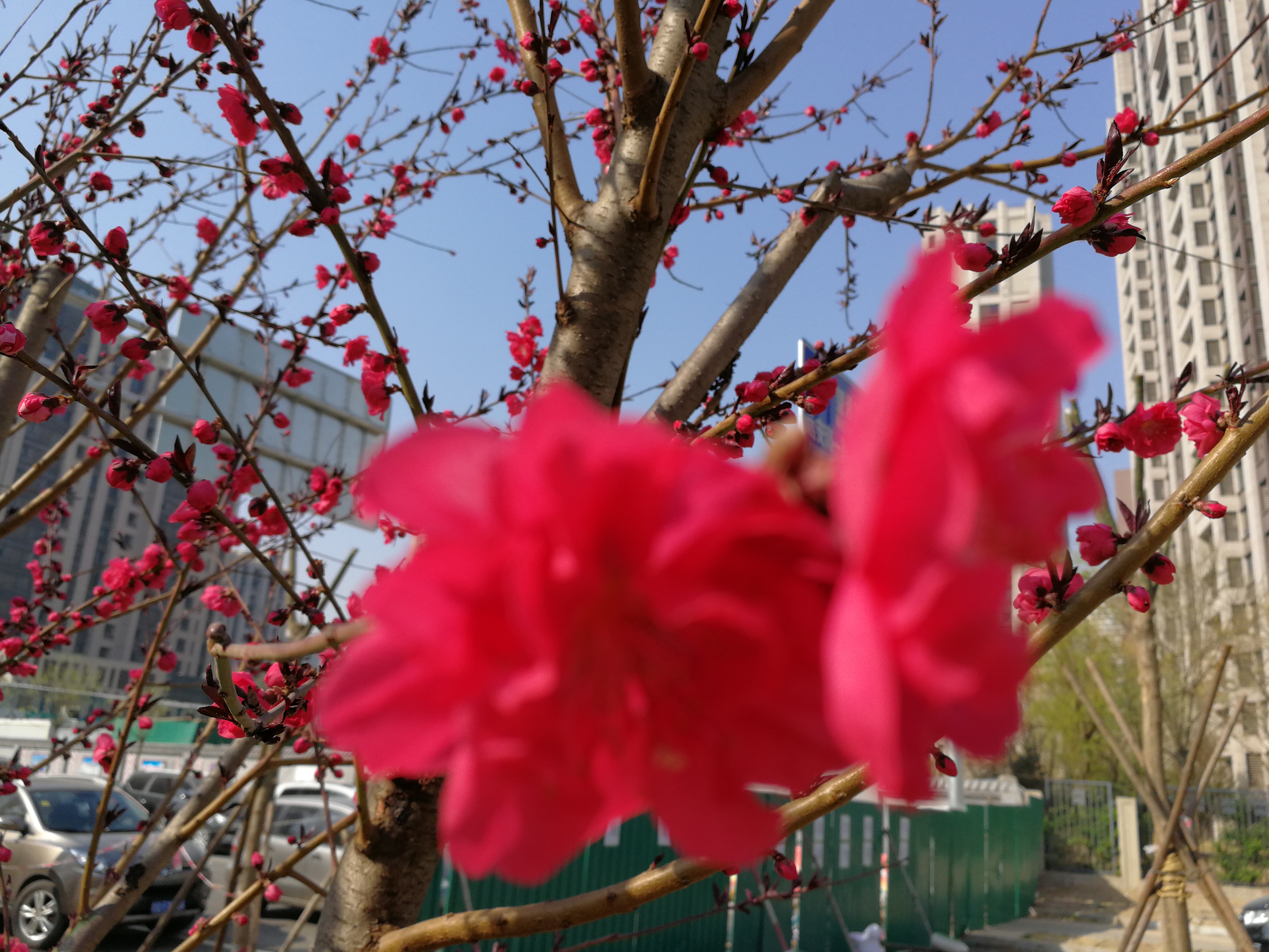 内地的银行卡在香港能换港币吗 (香港银行卡港币可以在大陆取钱吗)