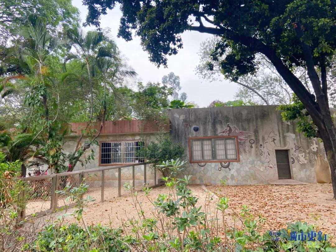 广州动物园什么时候搬迁,广州动物园搬迁