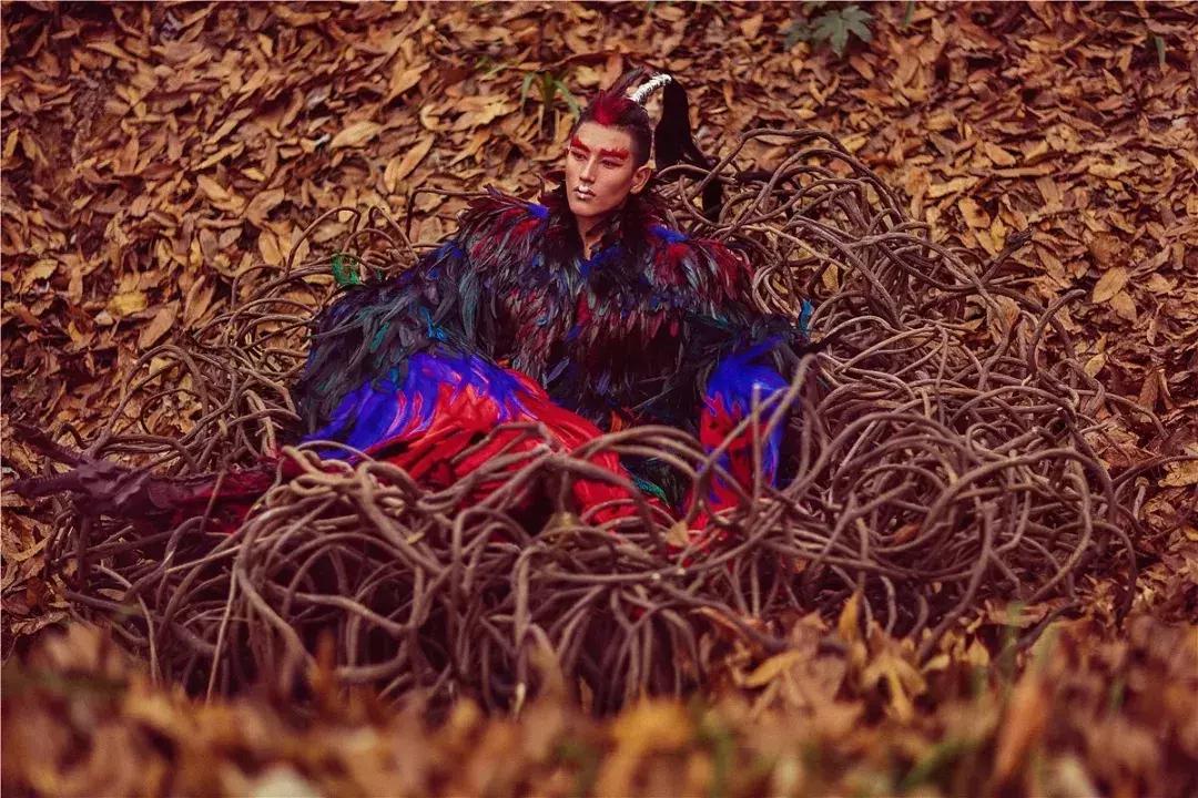 90后女孩拍稀有动物,90后女孩拍视频200万