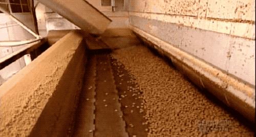 适合新手铲屎官养的狗粮,铲屎官们推荐一款便宜好狗粮