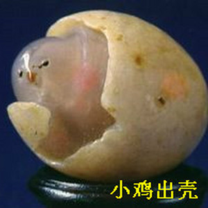 最近在家没事干,在家没事和我一起学做菜