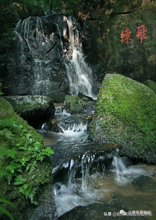 禅风竹韵乐享宜丰直播回放,禅风竹韵乐享宜丰摄影大赛