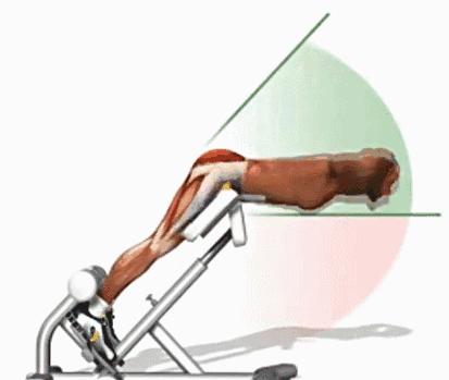 骨科医生教你5招轻松对付腰痛,经常突发性腰痛怎么治