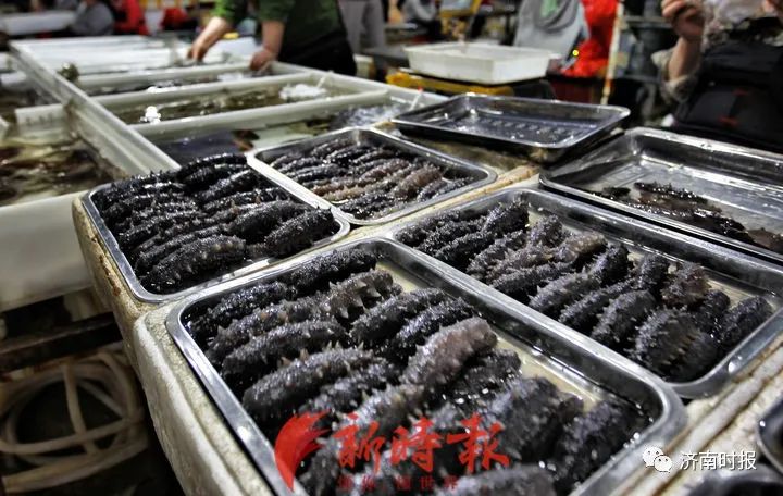 济南伊尹海参馆整体价格,济南海参最新消息