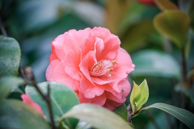 长沙三天两夜吃喝玩乐,长沙三天两晚自由行攻略酒店