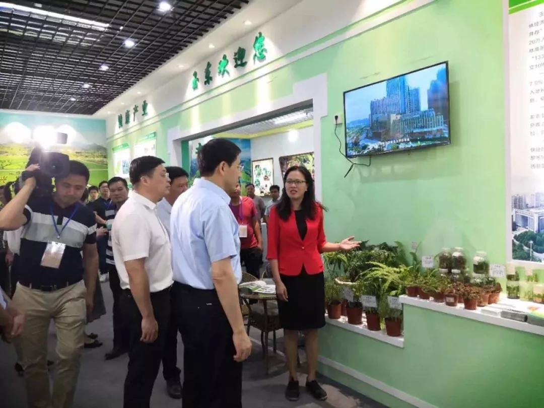 中农富玉大事记,中农富玉未来发展趋势