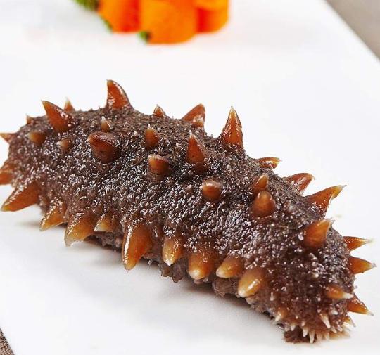 养殖海参和野生海参有区别吗,养殖海参和野生海参怎么区别