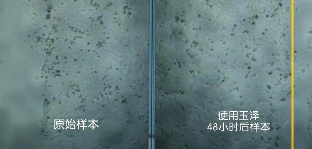 李佳琦没骗人！“国货之光”拯救烂脸，销量21万！乔欣也打call？