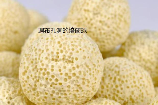 活性炭对于鱼缸的好处与坏处,鱼缸活性炭两年了还有效果吗