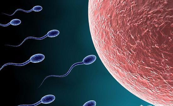 抽烟杀精严重还是喝酒杀精严重,杀人凶手排名第一