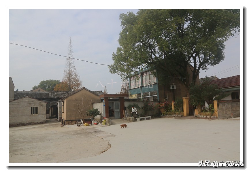 奉化方桥拆迁户,奉化区方桥街道方桥新村何时拆迁