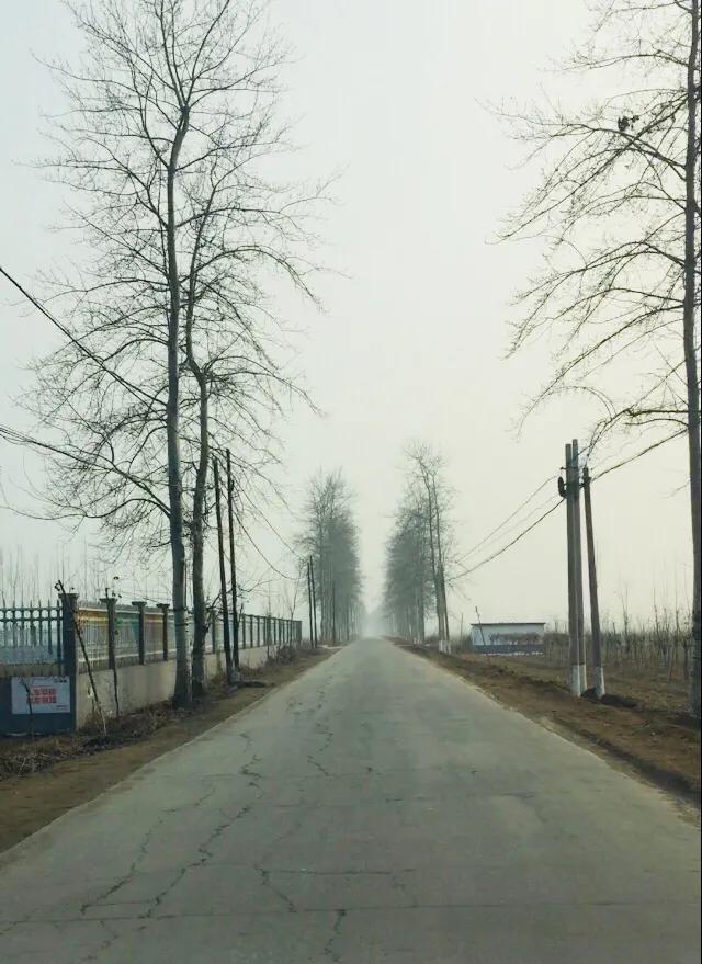 抗击肺炎,高县抗击疫情的图片