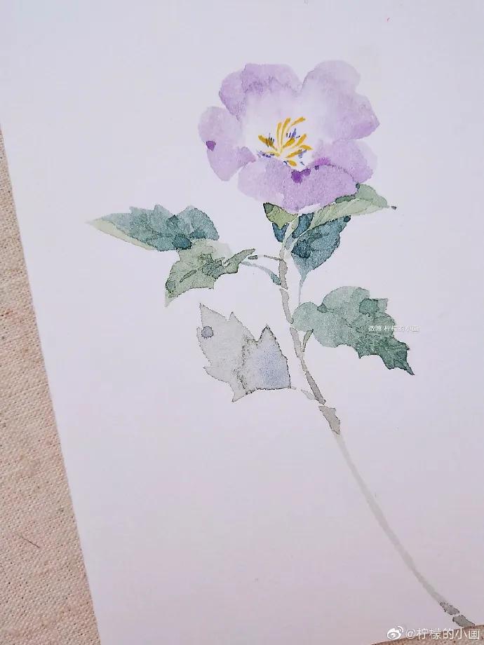 分享一组好看的小清新水彩插画,不来看看简单水彩小插画的教程吗