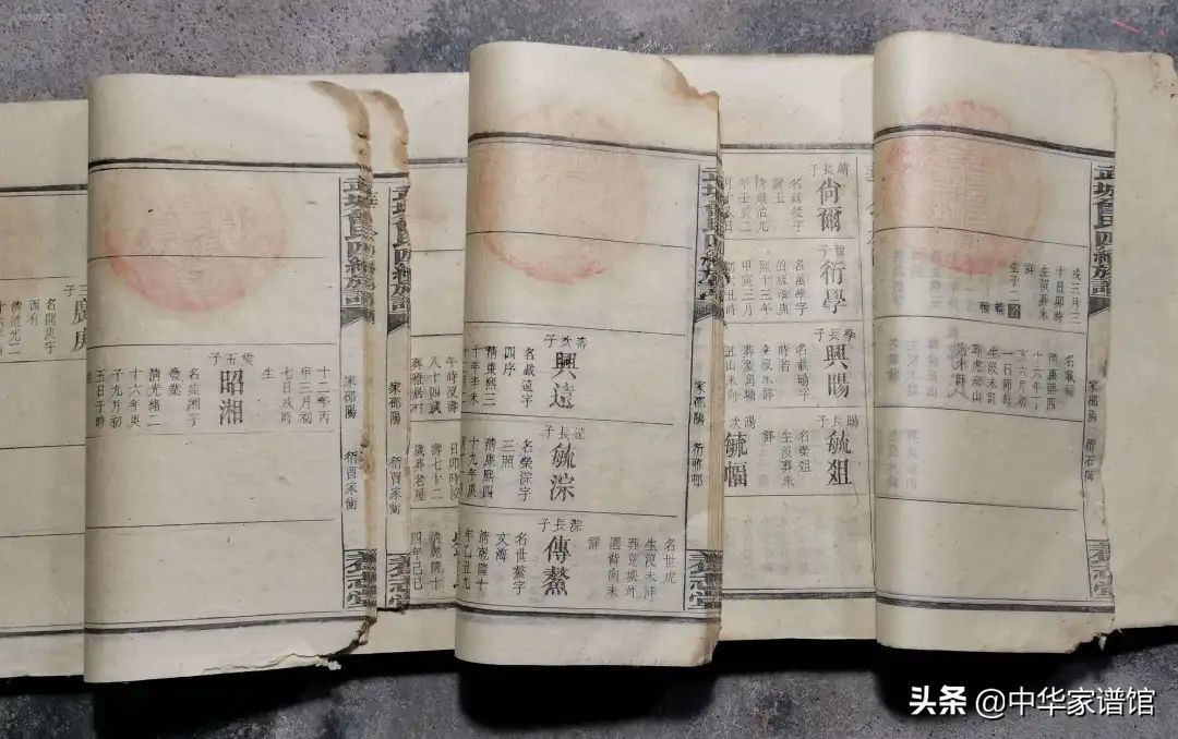 家谱怎么编写简单又好看,家谱如何制作